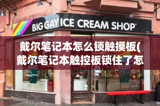 戴尔笔记本怎么锁触摸板(戴尔笔记本触控板锁住了怎么解开)