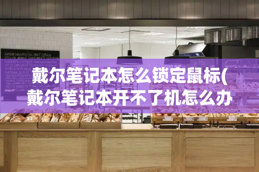 戴尔笔记本怎么锁定鼠标(戴尔笔记本开不了机怎么办)-第1张图片-星选测评