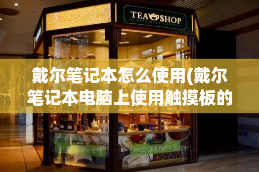 戴尔笔记本怎么使用(戴尔笔记本电脑上使用触摸板的方法和技巧)-第1张图片-星选测评