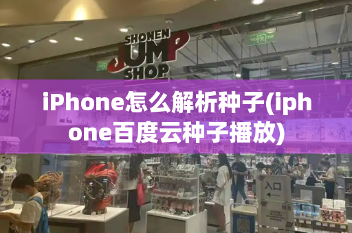 iPhone怎么解析种子(iphone百度云种子播放)