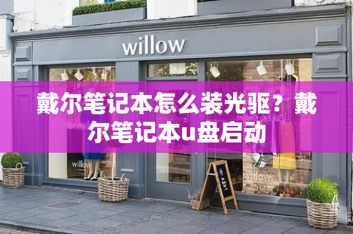戴尔笔记本怎么装光驱？戴尔笔记本u盘启动-第1张图片-星选测评