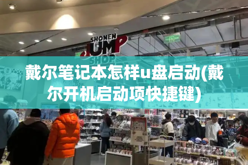 戴尔笔记本怎样u盘启动(戴尔开机启动项快捷键)-第1张图片-星选测评