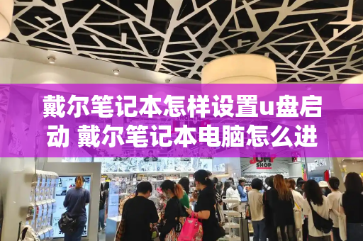 戴尔笔记本怎样设置u盘启动 戴尔笔记本电脑怎么进入u盘启动