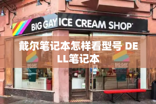 戴尔笔记本怎样看型号 DELL笔记本-第1张图片-星选测评