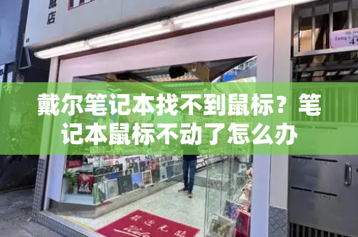 戴尔笔记本找不到鼠标？笔记本鼠标不动了怎么办