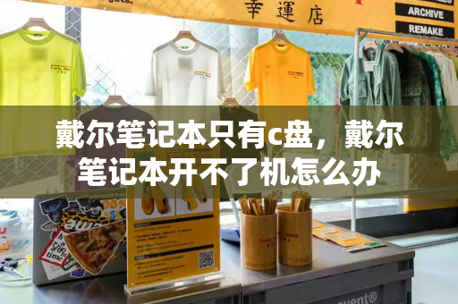 戴尔笔记本只有c盘，戴尔笔记本开不了机怎么办-第1张图片-星选测评