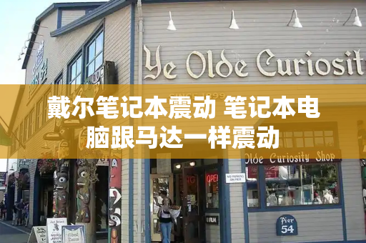 戴尔笔记本震动 笔记本电脑跟马达一样震动-第1张图片-星选测评