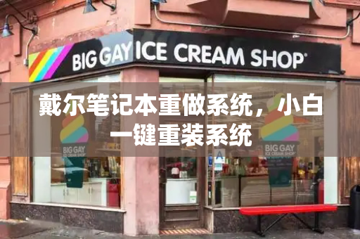 戴尔笔记本重做系统，小白一键重装系统