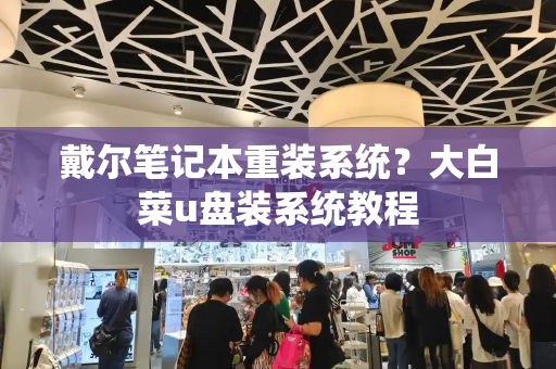 戴尔笔记本重装系统？大白菜u盘装系统教程-第1张图片-星选测评