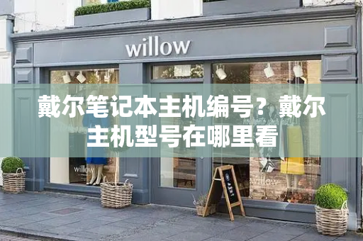 戴尔笔记本主机编号？戴尔主机型号在哪里看