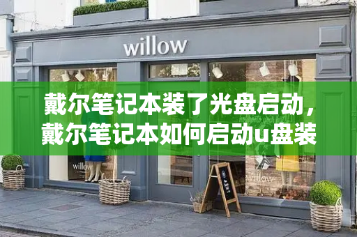 戴尔笔记本装了光盘启动，戴尔笔记本如何启动u盘装系统-第1张图片-星选测评