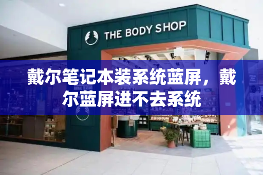 戴尔笔记本装系统蓝屏，戴尔蓝屏进不去系统