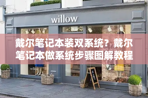 戴尔笔记本装双系统？戴尔笔记本做系统步骤图解教程-第1张图片-星选测评