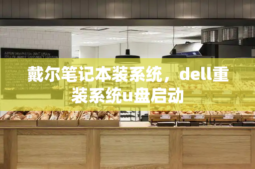 戴尔笔记本装系统，dell重装系统u盘启动-第1张图片-星选测评