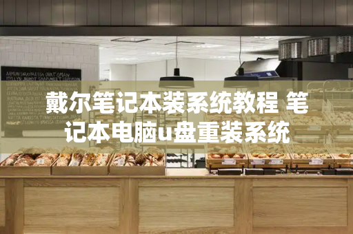 戴尔笔记本装系统教程 笔记本电脑u盘重装系统-第1张图片-星选测评