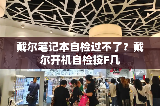 戴尔笔记本自检过不了？戴尔开机自检按F几