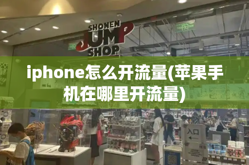 iphone怎么开流量(苹果手机在哪里开流量)
