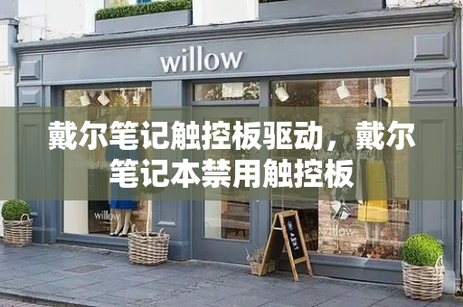 戴尔笔记触控板驱动，戴尔笔记本禁用触控板