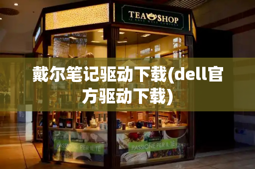 戴尔笔记驱动下载(dell官方驱动下载)-第1张图片-星选测评
