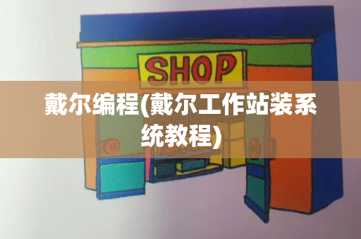戴尔编程(戴尔工作站装系统教程)