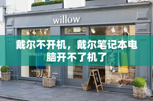 戴尔不开机，戴尔笔记本电脑开不了机了-第1张图片-星选测评