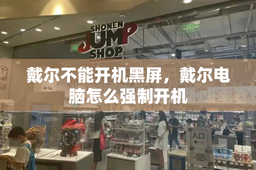 戴尔不能开机黑屏，戴尔电脑怎么强制开机-第1张图片-星选测评