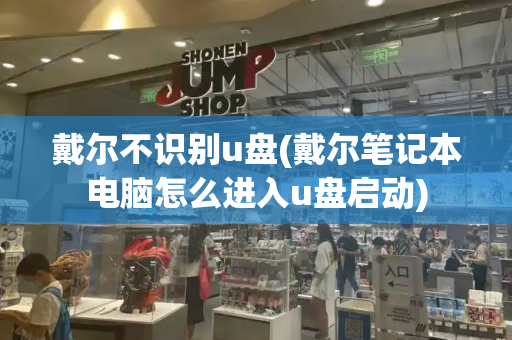 戴尔不识别u盘(戴尔笔记本电脑怎么进入u盘启动)-第1张图片-星选测评