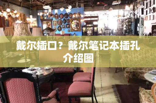 戴尔插口？戴尔笔记本插孔介绍图-第1张图片-星选测评