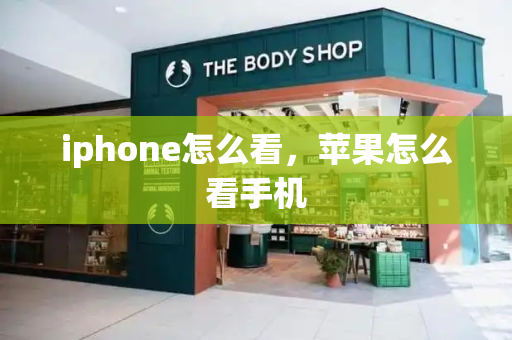 iphone怎么看，苹果怎么看手机-第1张图片-星选测评