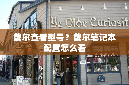 戴尔查看型号？戴尔笔记本配置怎么看-第1张图片-星选测评