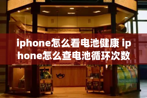 iphone怎么看电池健康 iphone怎么查电池循环次数