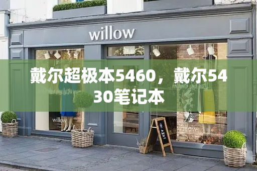 戴尔超极本5460，戴尔5430笔记本-第1张图片-星选测评