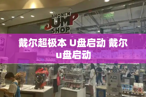 戴尔超极本 U盘启动 戴尔u盘启动-第1张图片-星选测评