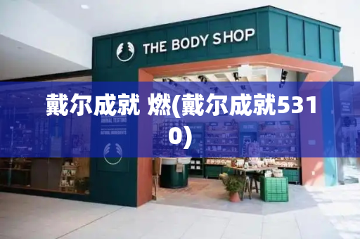 戴尔成就 燃(戴尔成就5310)
