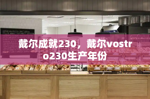 戴尔成就230，戴尔vostro230生产年份-第1张图片-星选测评