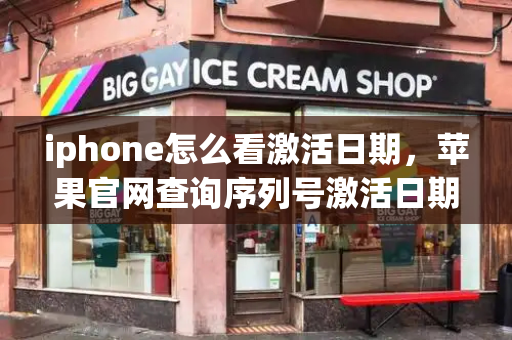 iphone怎么看激活日期，苹果官网查询序列号激活日期-第1张图片-星选测评