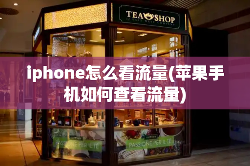 iphone怎么看流量(苹果手机如何查看流量)-第1张图片-星选测评