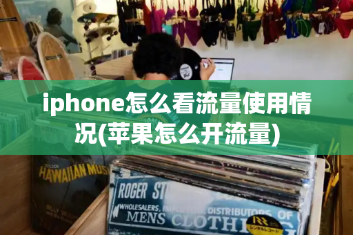 iphone怎么看流量使用情况(苹果怎么开流量)-第1张图片-星选测评