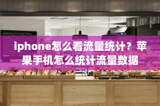 iphone怎么看流量统计？苹果手机怎么统计流量数据-第1张图片-星选测评