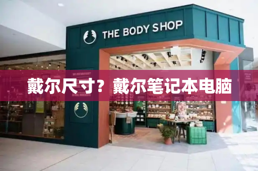 戴尔尺寸？戴尔笔记本电脑-第1张图片-星选测评
