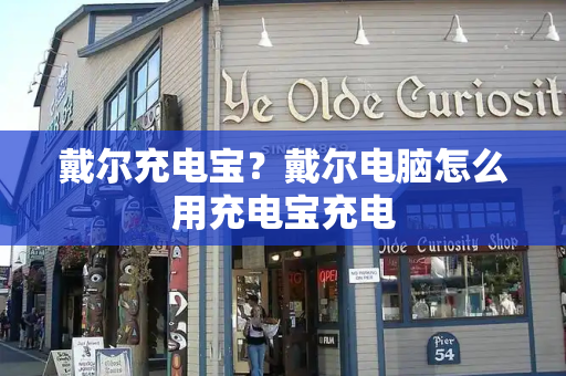戴尔充电宝？戴尔电脑怎么用充电宝充电-第1张图片-星选测评