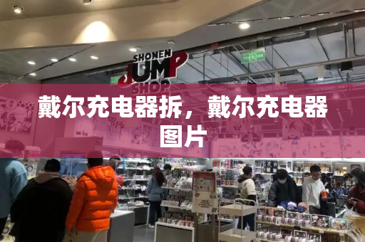 戴尔充电器拆，戴尔充电器图片