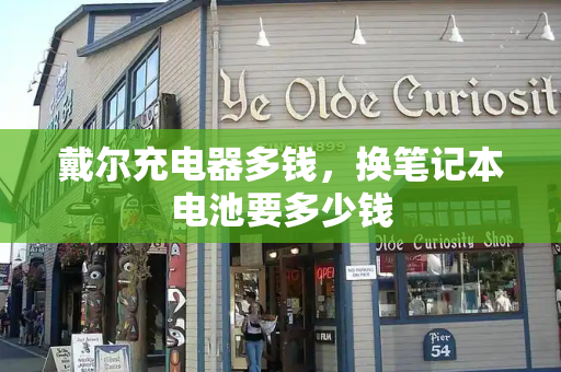 戴尔充电器多钱，换笔记本电池要多少钱-第1张图片-星选测评