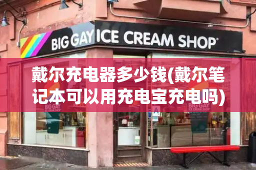 戴尔充电器多少钱(戴尔笔记本可以用充电宝充电吗)