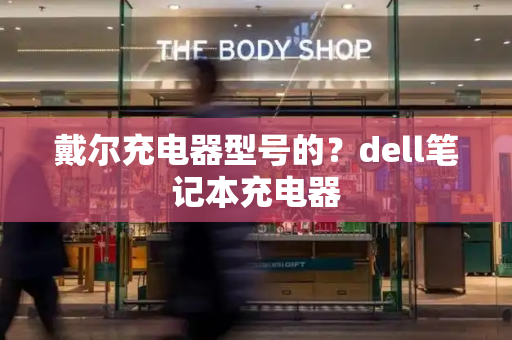 戴尔充电器型号的？dell笔记本充电器
