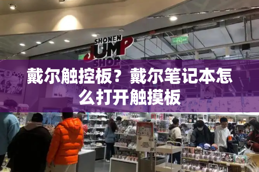 戴尔触控板？戴尔笔记本怎么打开触摸板
