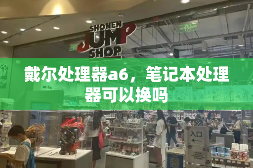 戴尔处理器a6，笔记本处理器可以换吗