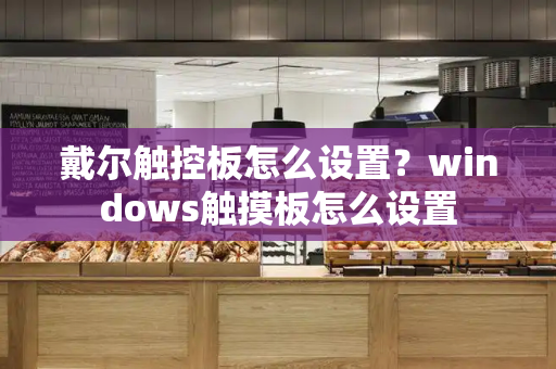 戴尔触控板怎么设置？windows触摸板怎么设置