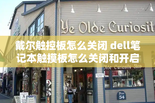 戴尔触控板怎么关闭 dell笔记本触摸板怎么关闭和开启-第1张图片-星选测评