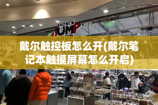 戴尔触控板怎么开(戴尔笔记本触摸屏幕怎么开启)-第1张图片-星选测评